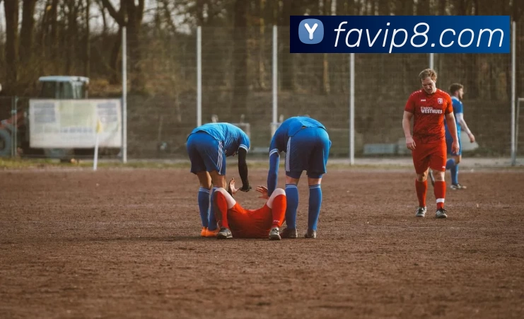 富安娱乐官网全站App